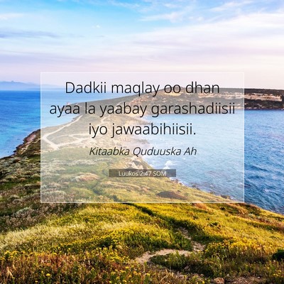 Picture 07 - Luukos 2:47 SOM - Dadkii maqlay oo dhan ayaa la yaabay - Bible Verse Picture