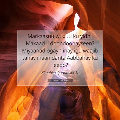 Picture 07 - Luukos 2:49 SOM - Markaasuu wuxuu ku yidhi, Maxaad ii - Bible Verse Picture