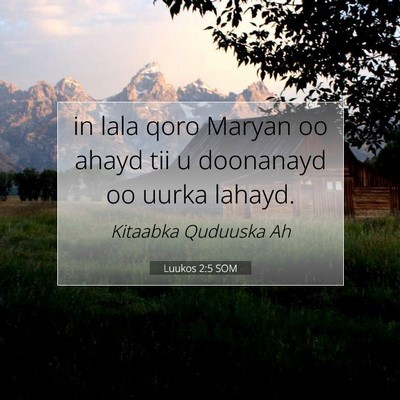 Picture 07 - Luukos 2:5 SOM - in lala qoro Maryan oo ahayd tii u doonanayd oo - Bible Verse Picture