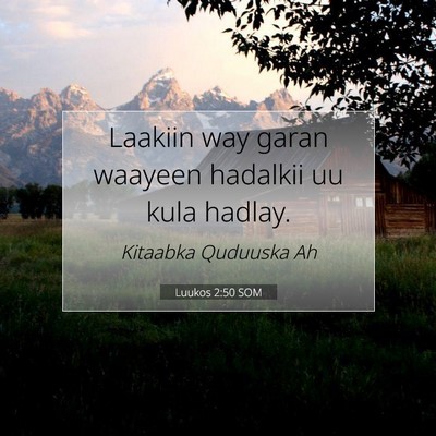 Picture 07 - Luukos 2:50 SOM - Laakiin way garan waayeen hadalkii uu kula - Bible Verse Picture