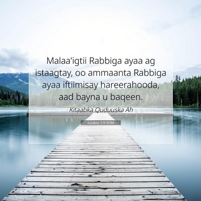 Picture 07 - Luukos 2:9 SOM - Malaa'igtii Rabbiga ayaa ag istaagtay, oo - Bible Verse Picture
