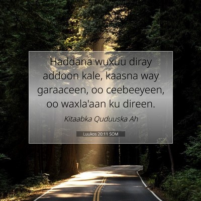 Picture 07 - Luukos 20:11 SOM - Haddana wuxuu diray addoon kale, kaasna way - Bible Verse Picture