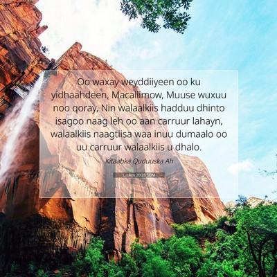 Picture 07 - Luukos 20:28 SOM - Oo waxay weyddiiyeen oo ku yidhaahdeen, - Bible Verse Picture