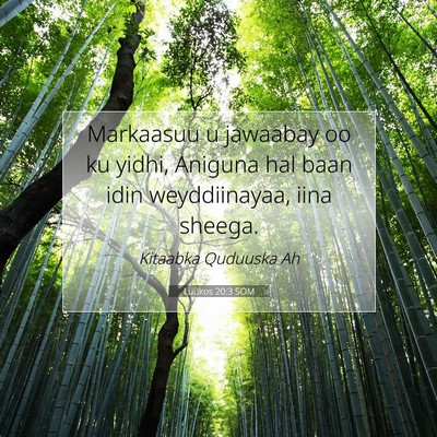 Picture 07 - Luukos 20:3 SOM - Markaasuu u jawaabay oo ku yidhi, Aniguna hal - Bible Verse Picture