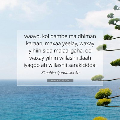 Picture 07 - Luukos 20:36 SOM - waayo, kol dambe ma dhiman karaan, maxaa yeelay, - Bible Verse Picture