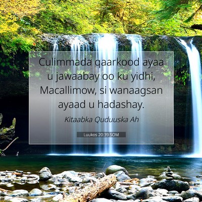 Picture 07 - Luukos 20:39 SOM - Culimmada qaarkood ayaa u jawaabay oo ku yidhi, - Bible Verse Picture