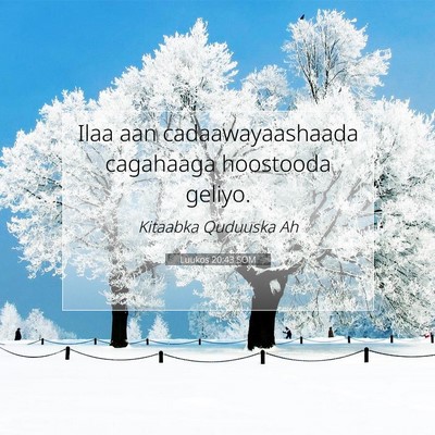 Picture 07 - Luukos 20:43 SOM - Ilaa aan cadaawayaashaada cagahaaga hoostooda - Bible Verse Picture