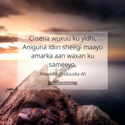 Picture 07 - Luukos 20:8 SOM - Ciisena wuxuu ku yidhi, Aniguna idiin sheegi - Bible Verse Picture