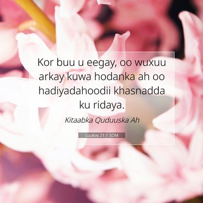 Picture 07 - Luukos 21:1 SOM - Kor buu u eegay, oo wuxuu arkay kuwa hodanka ah - Bible Verse Picture