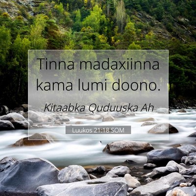Picture 07 - Luukos 21:18 SOM - Tinna madaxiinna kama lumi - Bible Verse Picture