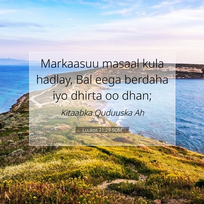 Picture 07 - Luukos 21:29 SOM - Markaasuu masaal kula hadlay, Bal eega berdaha - Bible Verse Picture