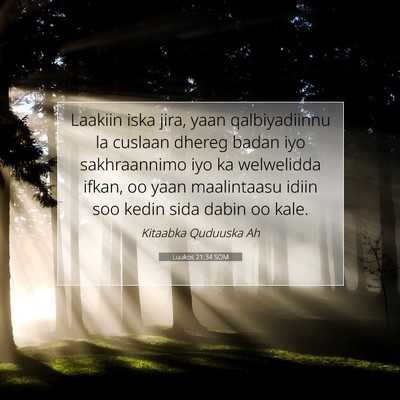 Picture 07 - Luukos 21:34 SOM - Laakiin iska jira, yaan qalbiyadiinnu la cuslaan - Bible Verse Picture