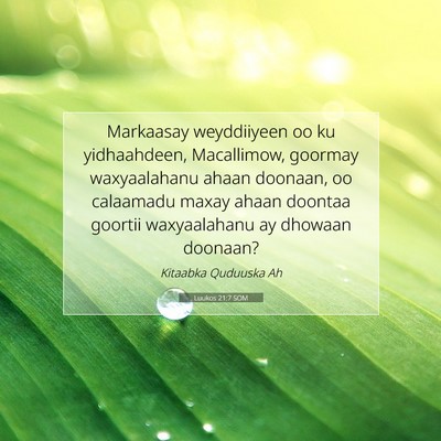 Picture 07 - Luukos 21:7 SOM - Markaasay weyddiiyeen oo ku yidhaahdeen, - Bible Verse Picture