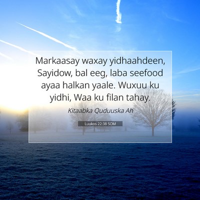 Picture 07 - Luukos 22:38 SOM - Markaasay waxay yidhaahdeen, Sayidow, bal eeg, - Bible Verse Picture