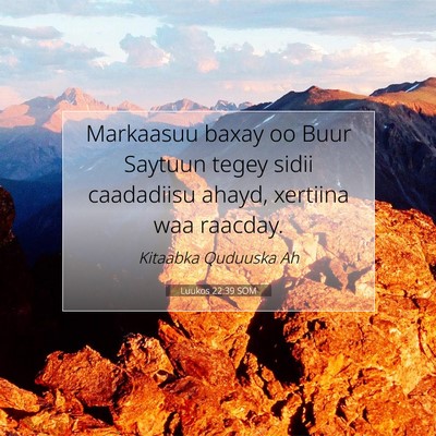 Picture 07 - Luukos 22:39 SOM - Markaasuu baxay oo Buur Saytuun tegey sidii - Bible Verse Picture