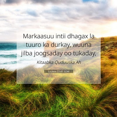 Picture 07 - Luukos 22:41 SOM - Markaasuu intii dhagax la tuuro ka durkay, wuuna - Bible Verse Picture
