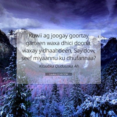 Picture 07 - Luukos 22:49 SOM - Kuwii ag joogay goortay garteen waxa dhici doona, - Bible Verse Picture