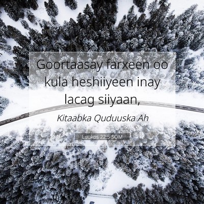 Picture 07 - Luukos 22:5 SOM - Goortaasay farxeen oo kula heshiiyeen inay lacag - Bible Verse Picture