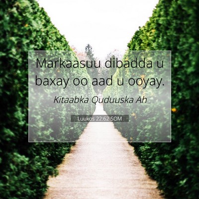 Picture 07 - Luukos 22:62 SOM - Markaasuu dibadda u baxay oo aad u - Bible Verse Picture