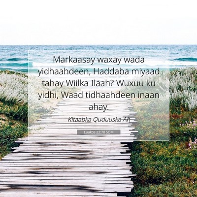 Picture 07 - Luukos 22:70 SOM - Markaasay waxay wada yidhaahdeen, Haddaba miyaad - Bible Verse Picture