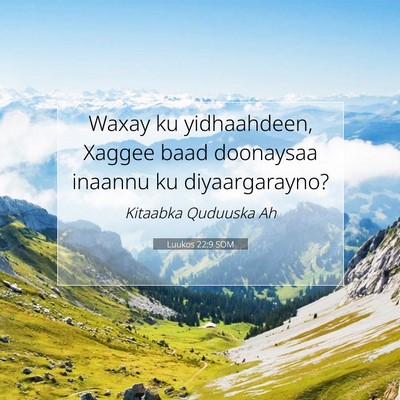 Picture 07 - Luukos 22:9 SOM - Waxay ku yidhaahdeen, Xaggee baad doonaysaa - Bible Verse Picture