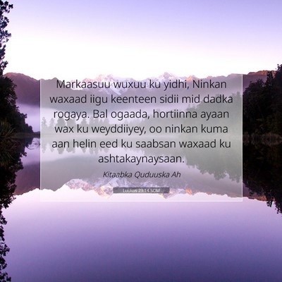 Picture 07 - Luukos 23:14 SOM - Markaasuu wuxuu ku yidhi, Ninkan waxaad iigu - Bible Verse Picture