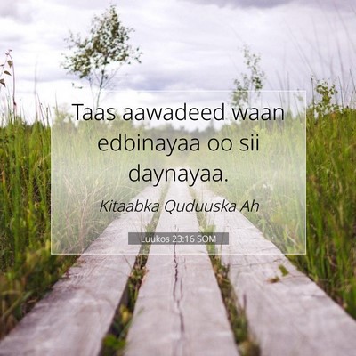 Picture 07 - Luukos 23:16 SOM - Taas aawadeed waan edbinayaa oo sii - Bible Verse Picture