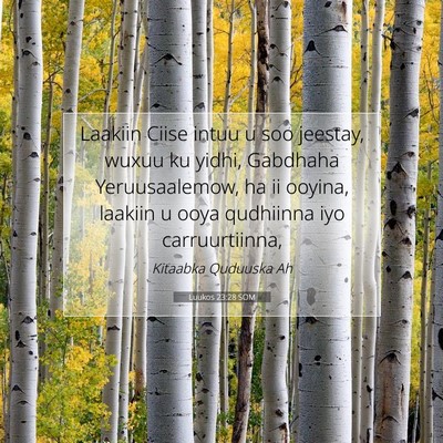 Picture 07 - Luukos 23:28 SOM - Laakiin Ciise intuu u soo jeestay, wuxuu ku - Bible Verse Picture