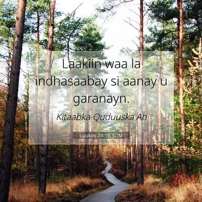 Picture 07 - Luukos 24:16 SOM - Laakiin waa la indhasaabay si aanay u - Bible Verse Picture