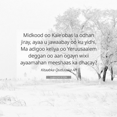 Picture 07 - Luukos 24:18 SOM - Midkood oo Kale'obas la odhan jiray, ayaa u - Bible Verse Picture