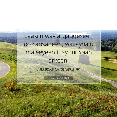 Picture 07 - Luukos 24:37 SOM - Laakiin way argaggexeen oo cabsadeen, waxayna u - Bible Verse Picture