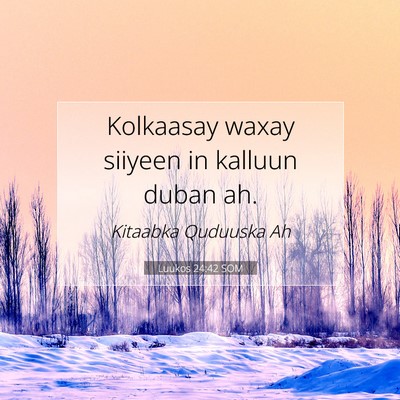 Picture 07 - Luukos 24:42 SOM - Kolkaasay waxay siiyeen in kalluun duban - Bible Verse Picture