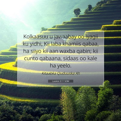 Picture 07 - Luukos 3:11 SOM - Kolkaasuu u jawaabay oo iyagii ku yidhi, Kii laba - Bible Verse Picture