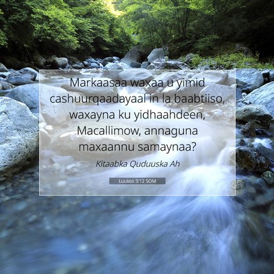 Picture 07 - Luukos 3:12 SOM - Markaasaa waxaa u yimid cashuurqaadayaal in la - Bible Verse Picture