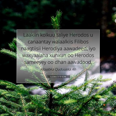 Picture 07 - Luukos 3:19 SOM - Laakiin kolkuu taliye Herodos u canaantay - Bible Verse Picture