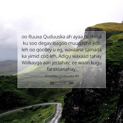Picture 07 - Luukos 3:22 SOM - oo Ruuxa Quduuska ah ayaa dushiisa ku soo degay - Bible Verse Picture