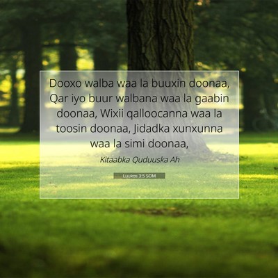 Picture 07 - Luukos 3:5 SOM - Dooxo walba waa la buuxin doonaa, Qar iyo buur - Bible Verse Picture