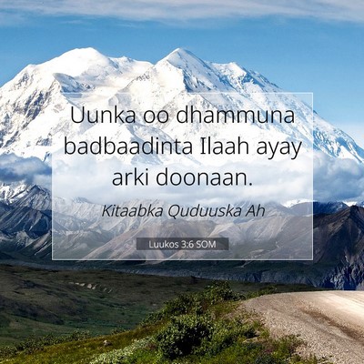 Picture 07 - Luukos 3:6 SOM - Uunka oo dhammuna badbaadinta Ilaah ayay arki - Bible Verse Picture