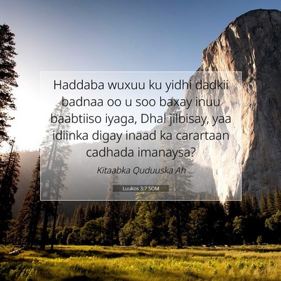 Picture 07 - Luukos 3:7 SOM - Haddaba wuxuu ku yidhi dadkii badnaa oo u soo - Bible Verse Picture
