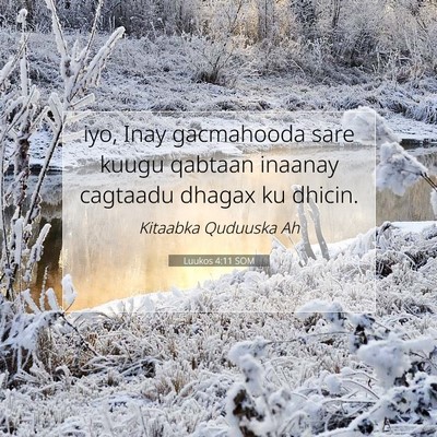 Picture 07 - Luukos 4:11 SOM - iyo, Inay gacmahooda sare kuugu qabtaan inaanay - Bible Verse Picture