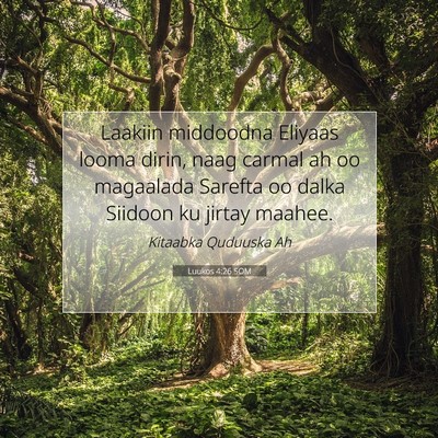Picture 07 - Luukos 4:26 SOM - Laakiin middoodna Eliyaas looma dirin, naag - Bible Verse Picture