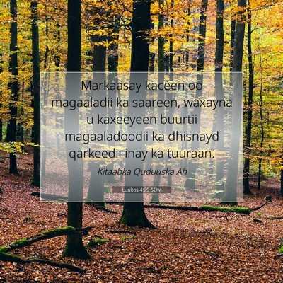 Picture 07 - Luukos 4:29 SOM - Markaasay kaceen oo magaaladii ka saareen, - Bible Verse Picture