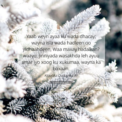 Picture 07 - Luukos 4:36 SOM - Yaab weyn ayaa ku wada dhacay; wayna isla wada - Bible Verse Picture