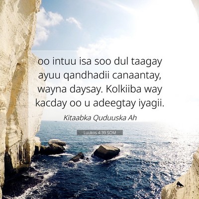 Picture 07 - Luukos 4:39 SOM - oo intuu isa soo dul taagay ayuu qandhadii - Bible Verse Picture