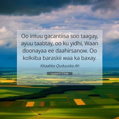 Picture 07 - Luukos 5:13 SOM - Oo intuu gacantiisa soo taagay, ayuu taabtay, oo - Bible Verse Picture