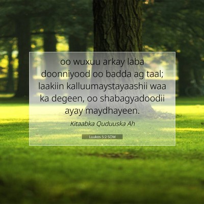 Picture 07 - Luukos 5:2 SOM - oo wuxuu arkay laba doonniyood oo badda ag taal; - Bible Verse Picture