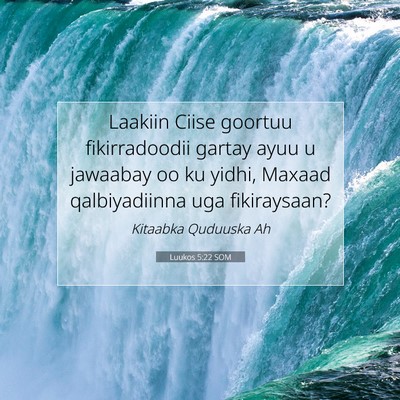 Picture 07 - Luukos 5:22 SOM - Laakiin Ciise goortuu fikirradoodii gartay ayuu u - Bible Verse Picture