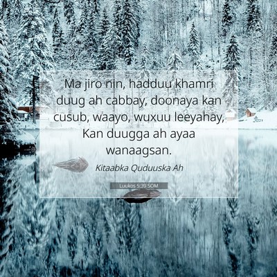 Picture 07 - Luukos 5:39 SOM - Ma jiro nin, hadduu khamri duug ah cabbay, - Bible Verse Picture