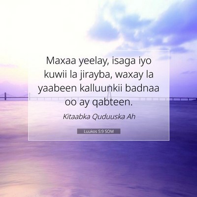 Picture 07 - Luukos 5:9 SOM - Maxaa yeelay, isaga iyo kuwii la jirayba, waxay - Bible Verse Picture