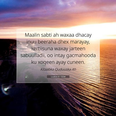Picture 07 - Luukos 6:1 SOM - Maalin sabti ah waxaa dhacay inuu beeraha dhex - Bible Verse Picture